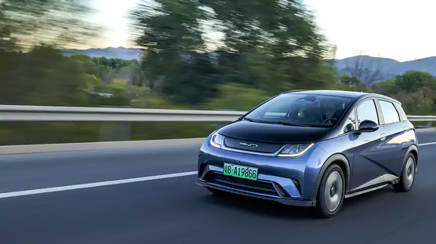 BYD Dolphin Oceanographic Design