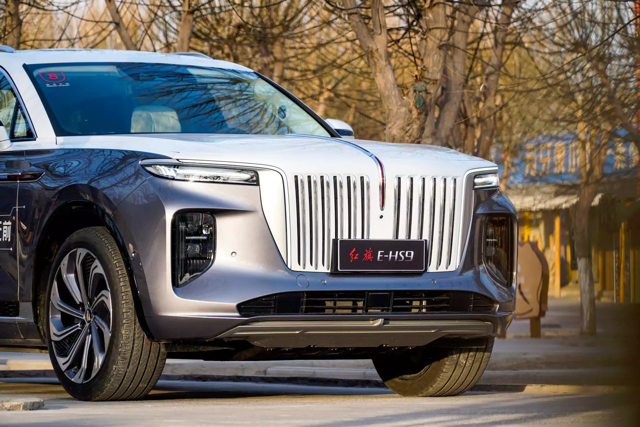 Hongqi E-HS9 appearance 1