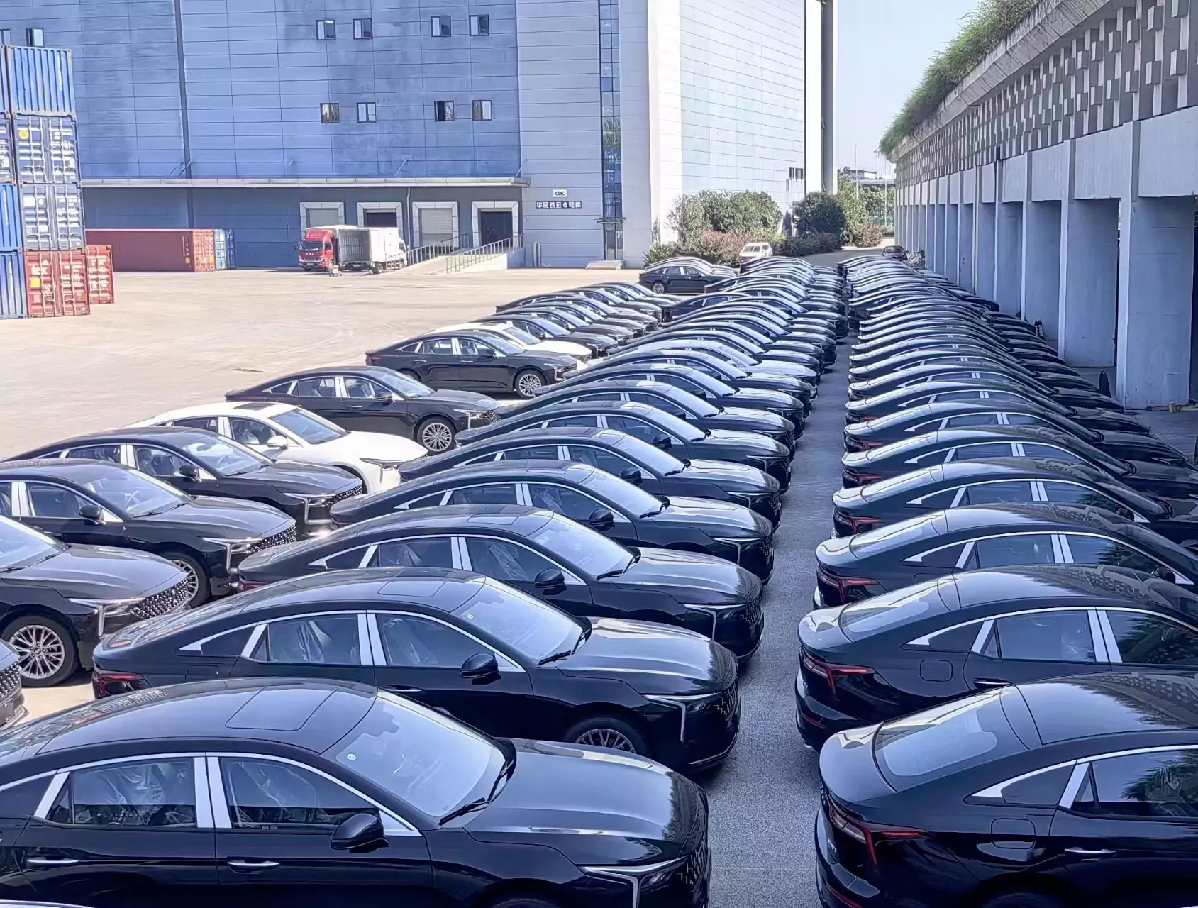 New Cars Warehouses -6