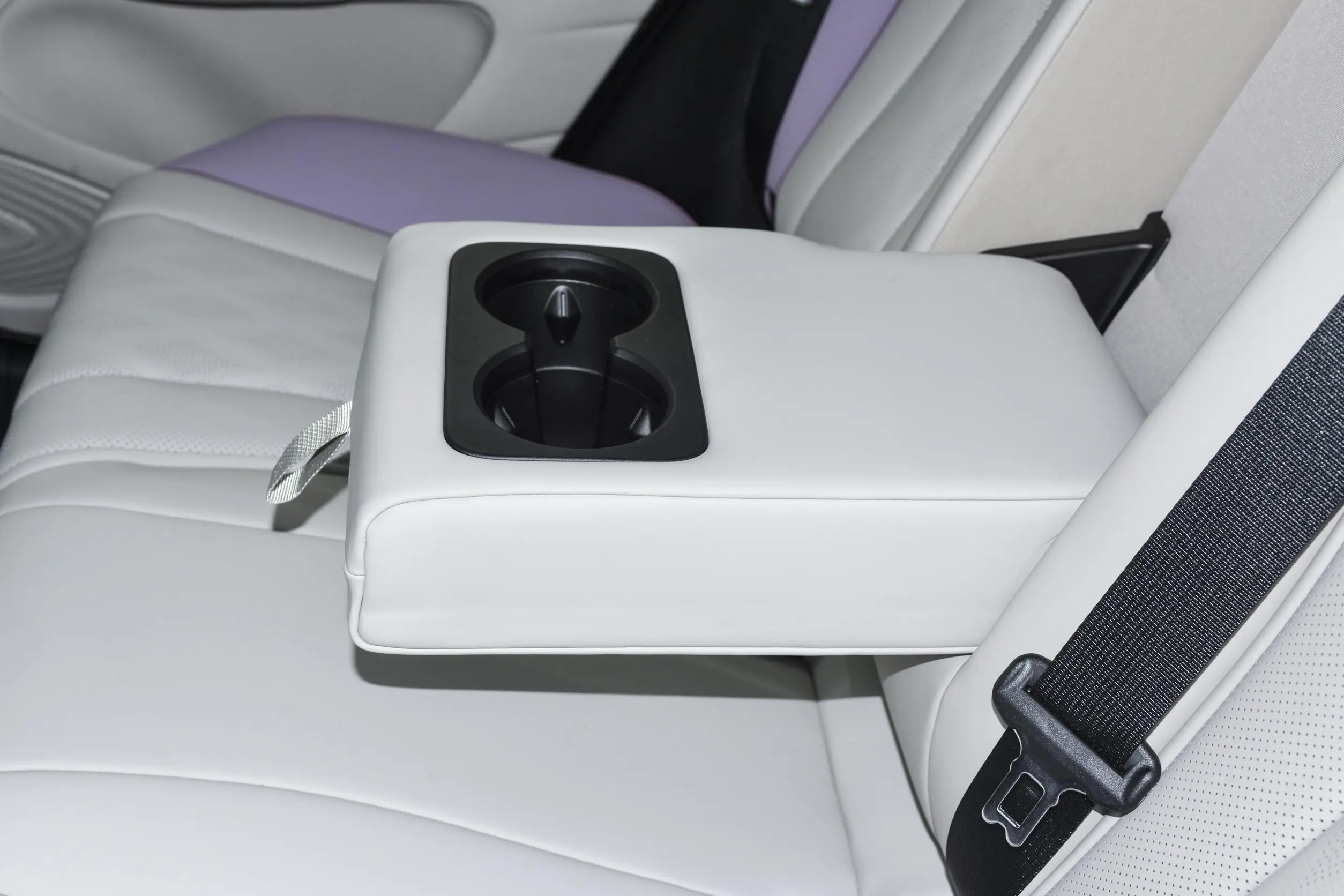 BYD Dolphin picture (7)