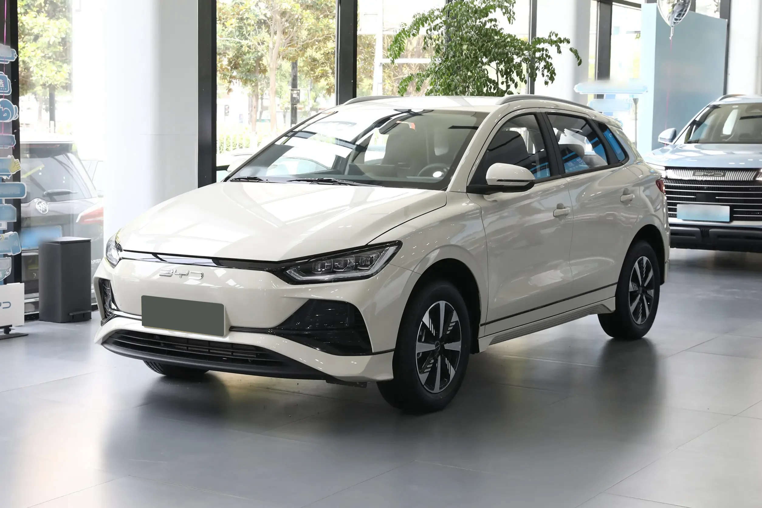 BYD e2 picture (9)