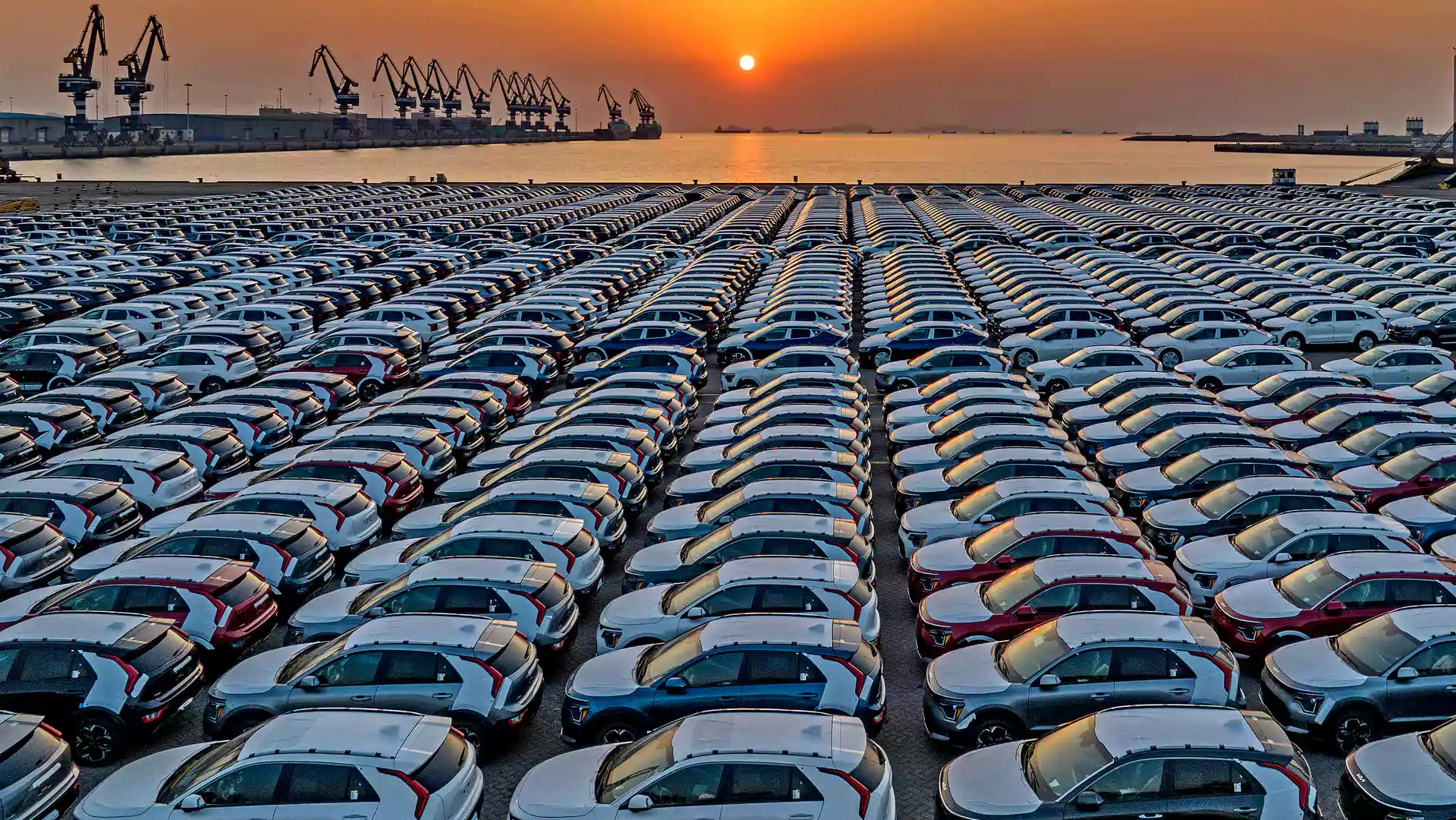 Cars parked at the port ready for export