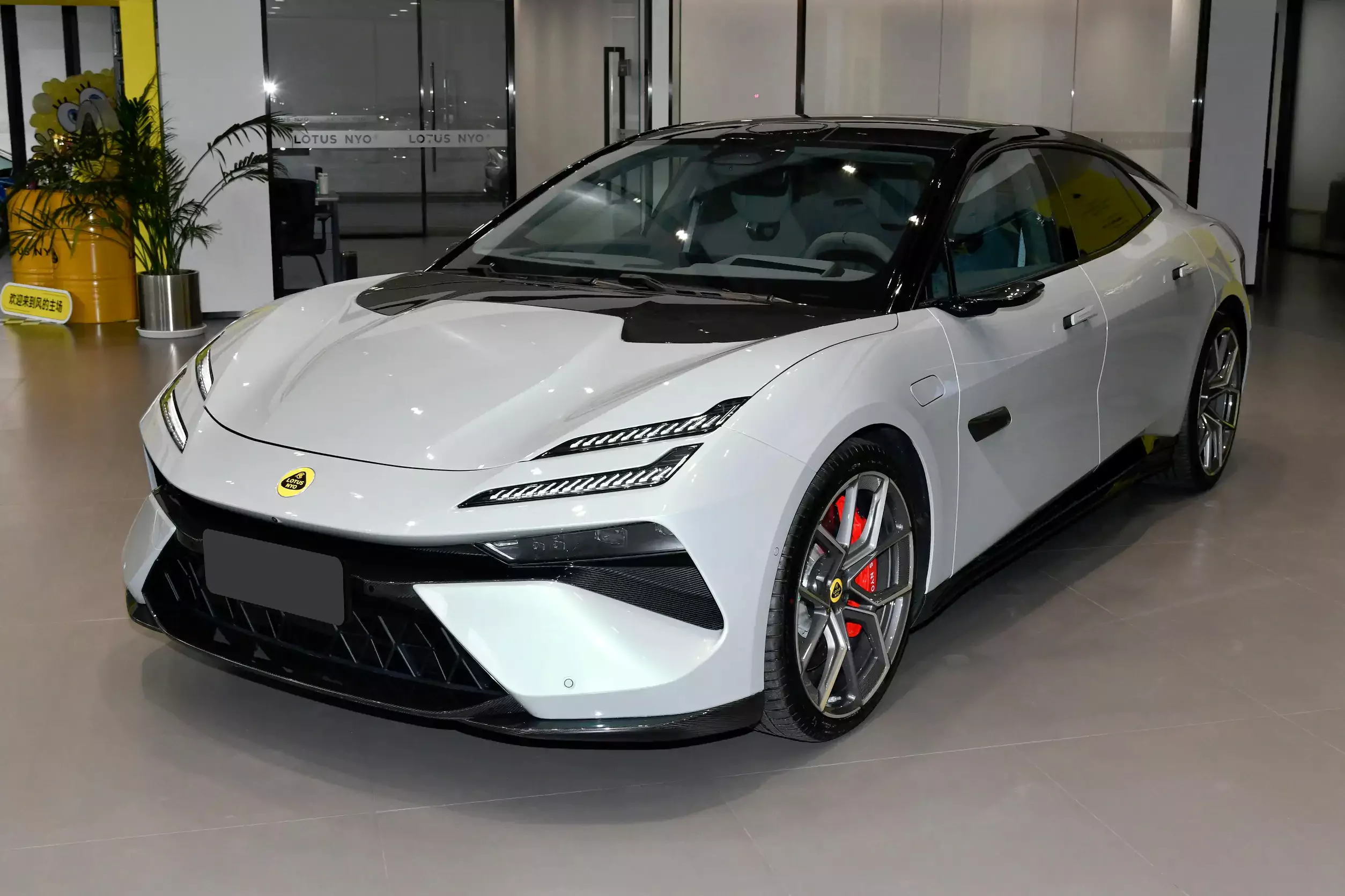 Lotus Emeya picture (10)