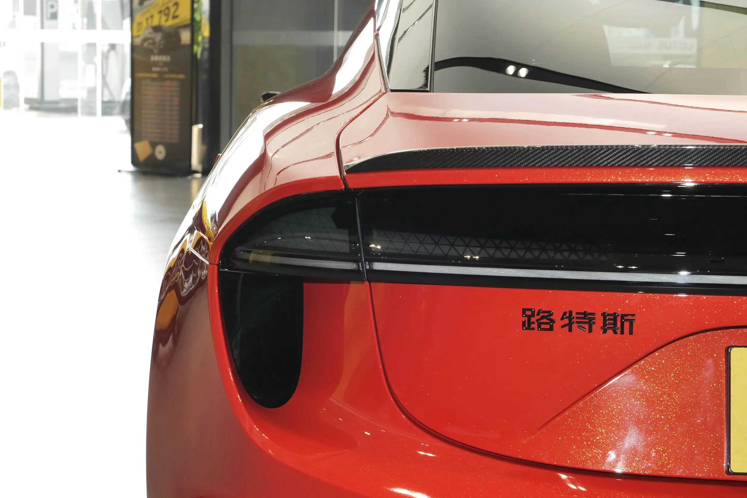 Lotus Emeya picture (11)