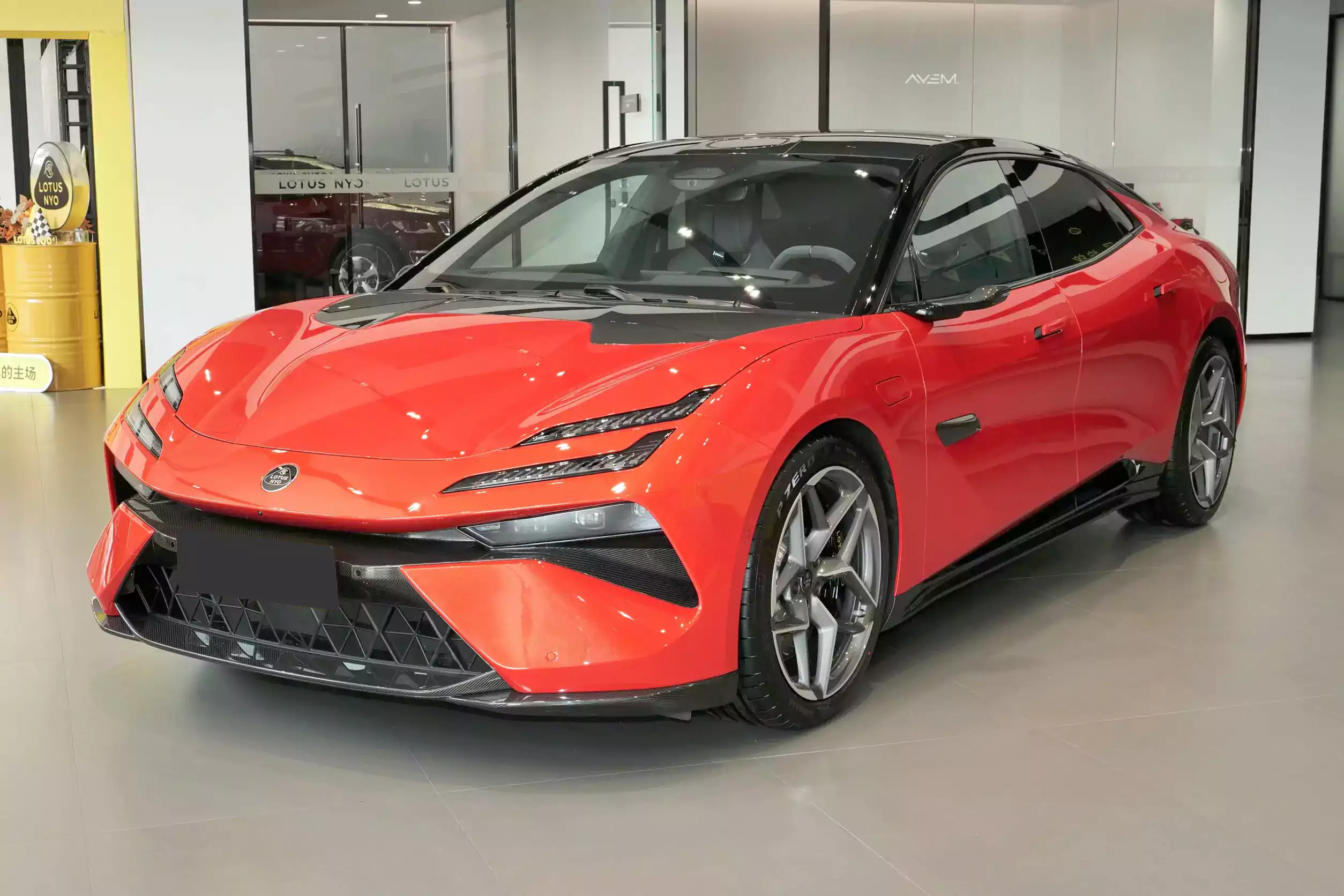 Lotus Emeya picture (3)