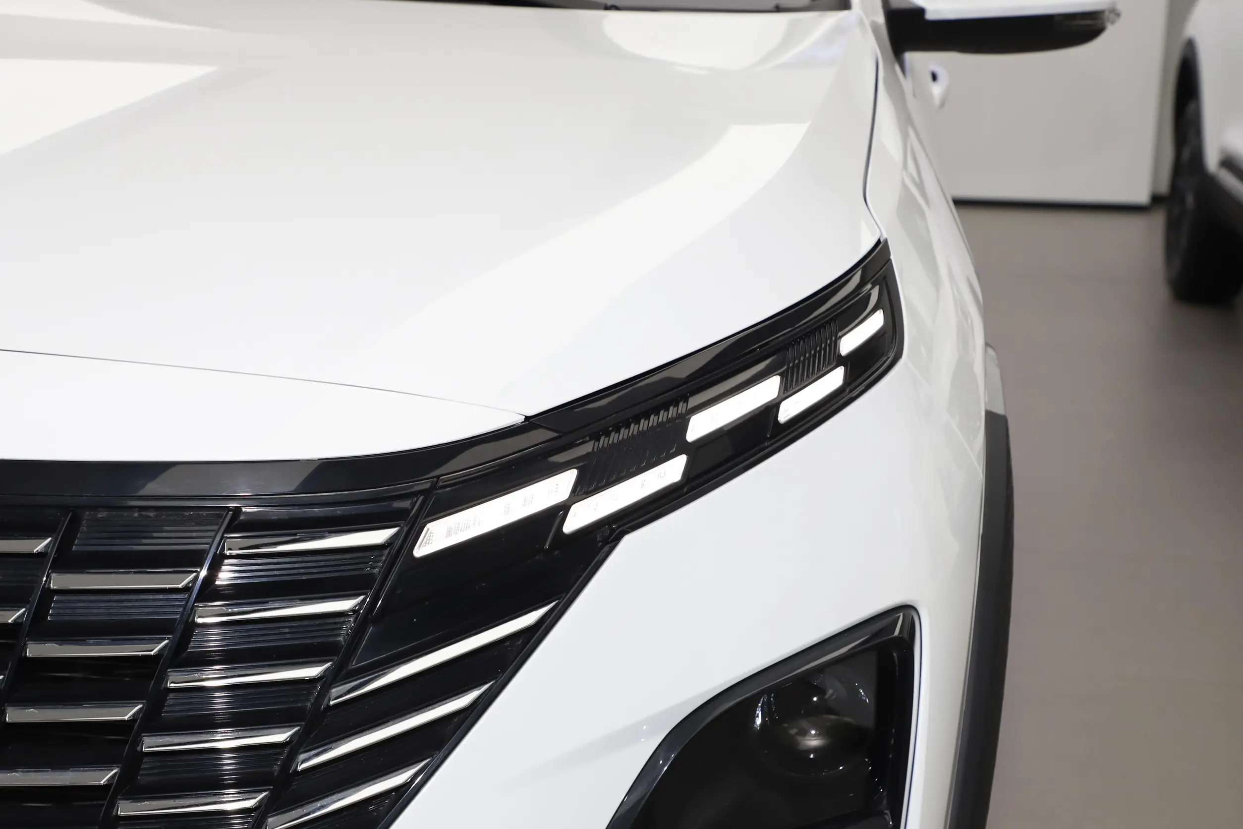 Chery Tiggo 3x picture (11)