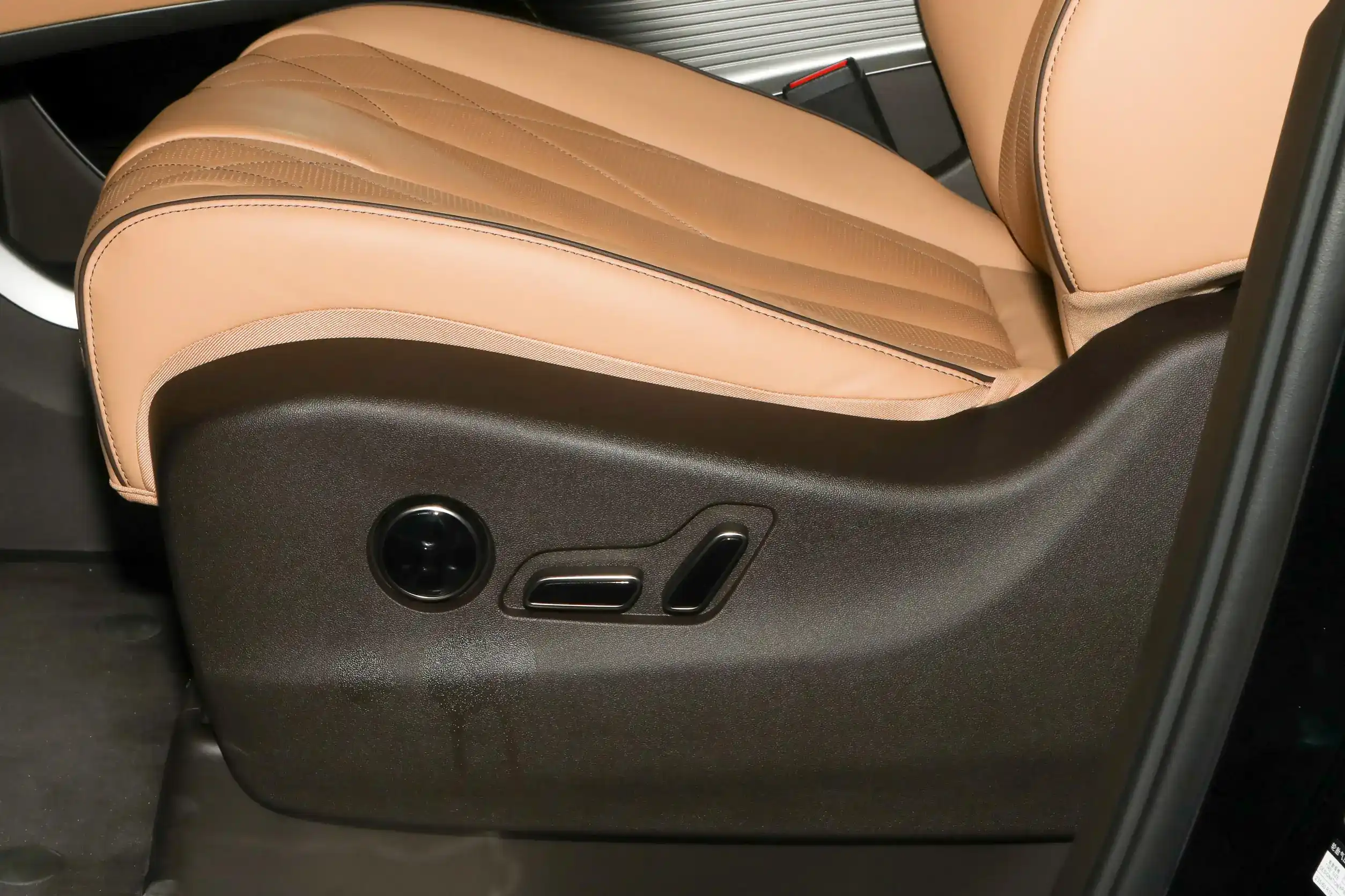 Denza D9 EV picture (10)
