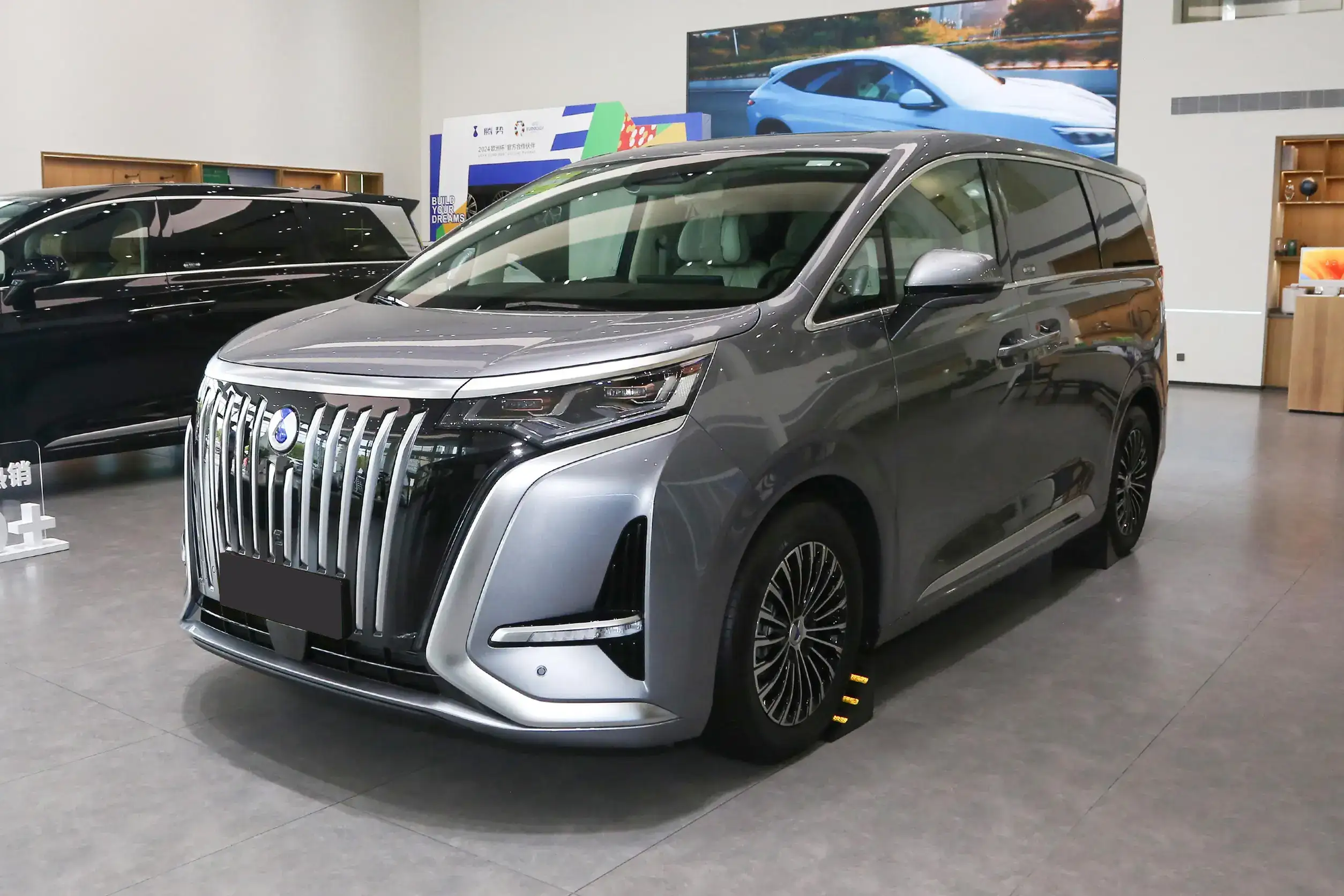 Denza D9 EV picture (13)