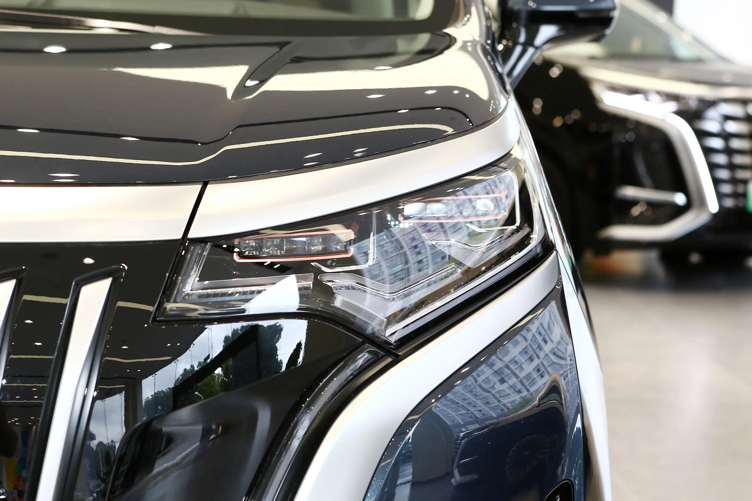 Denza D9 EV picture (15)