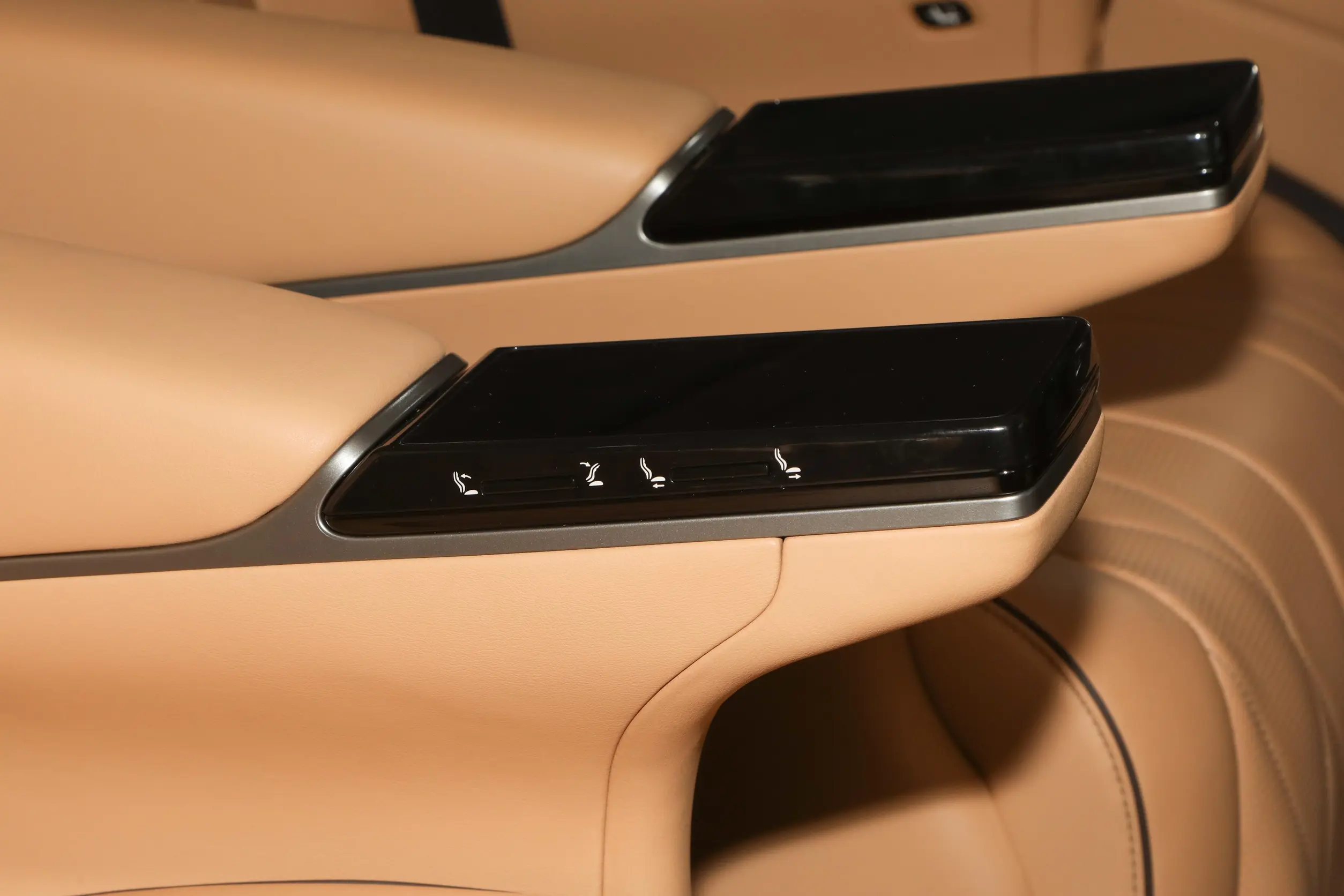 Denza D9 EV picture (6)