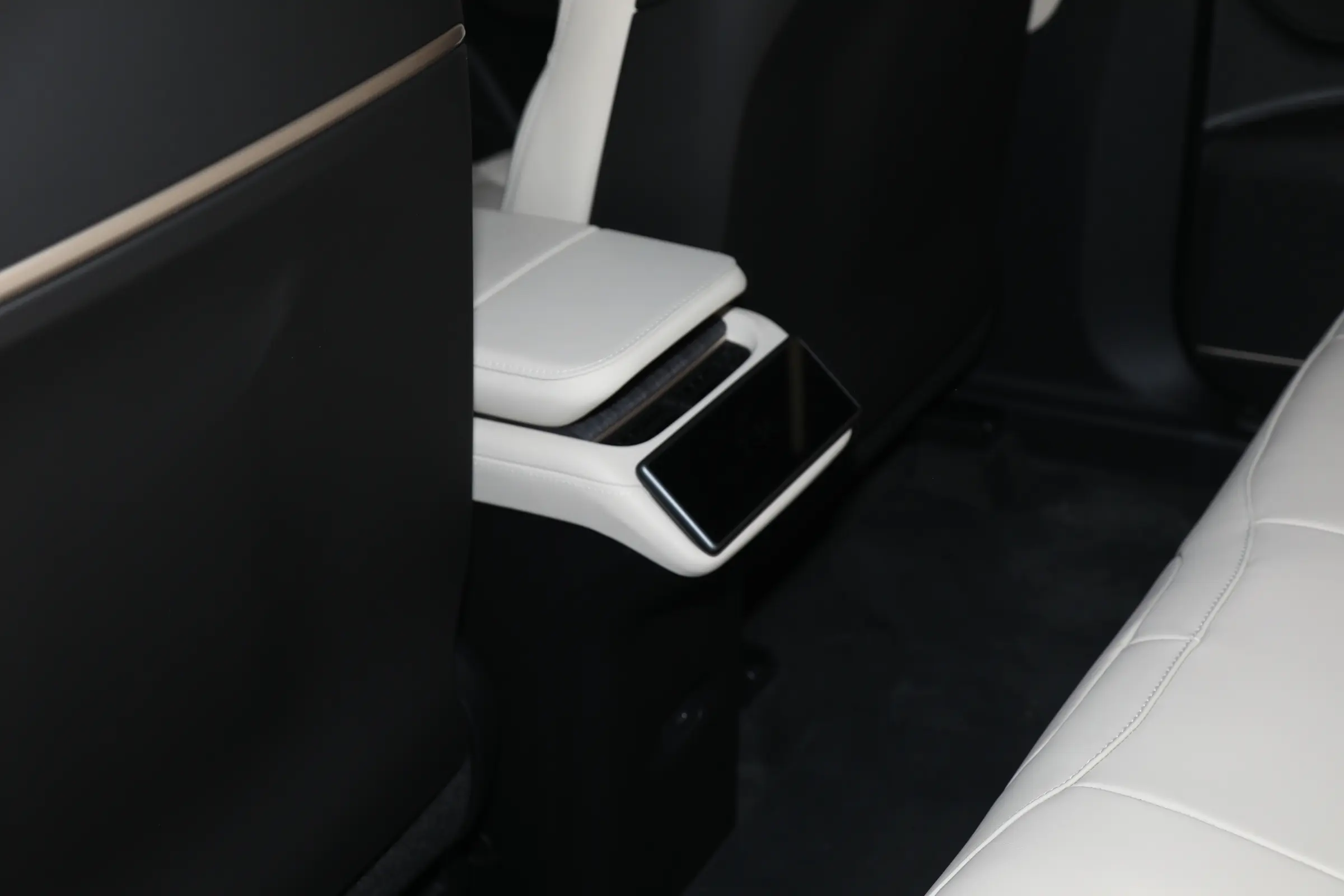 NIO ES6 picture (5)