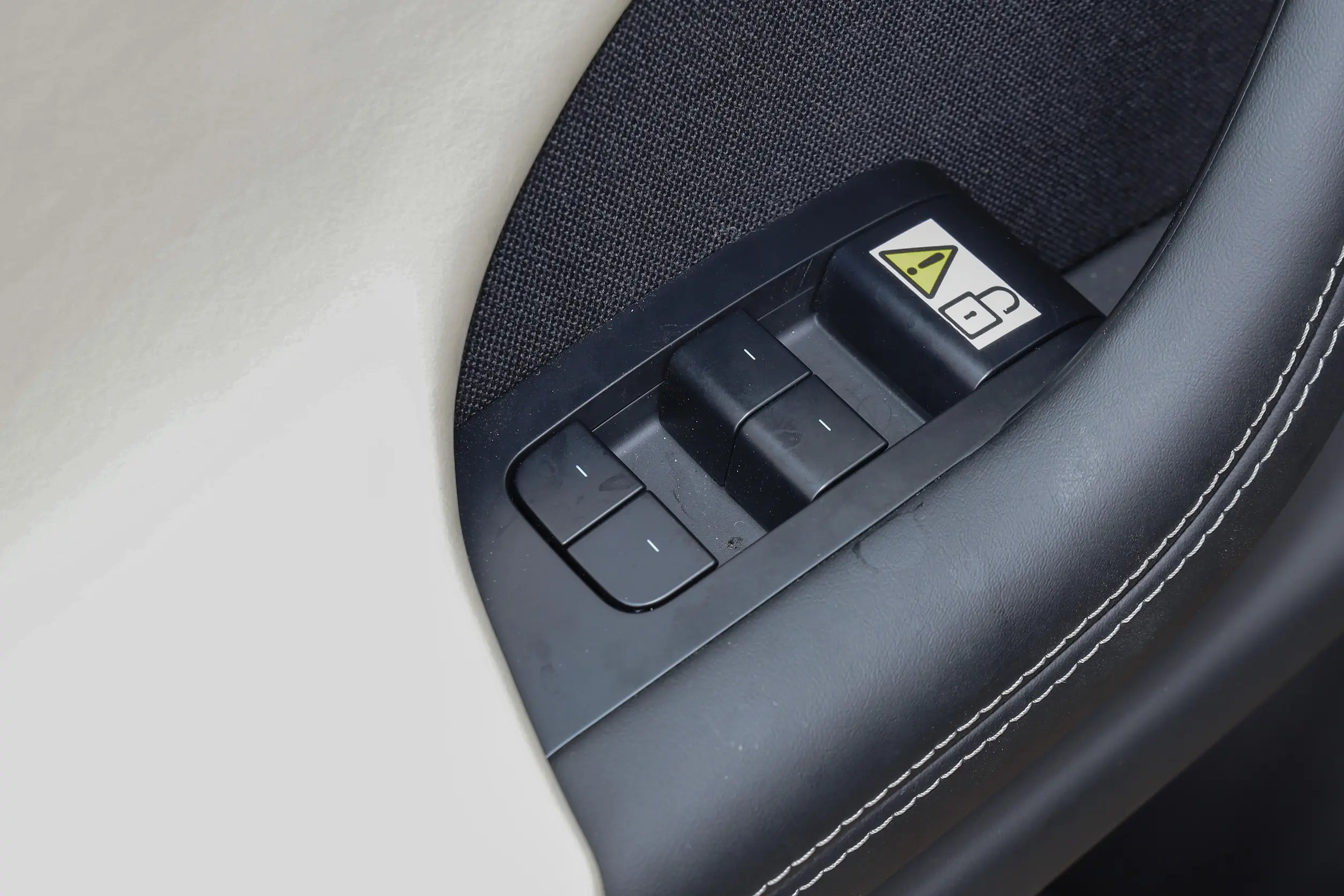 Tesla Model X picture (9)