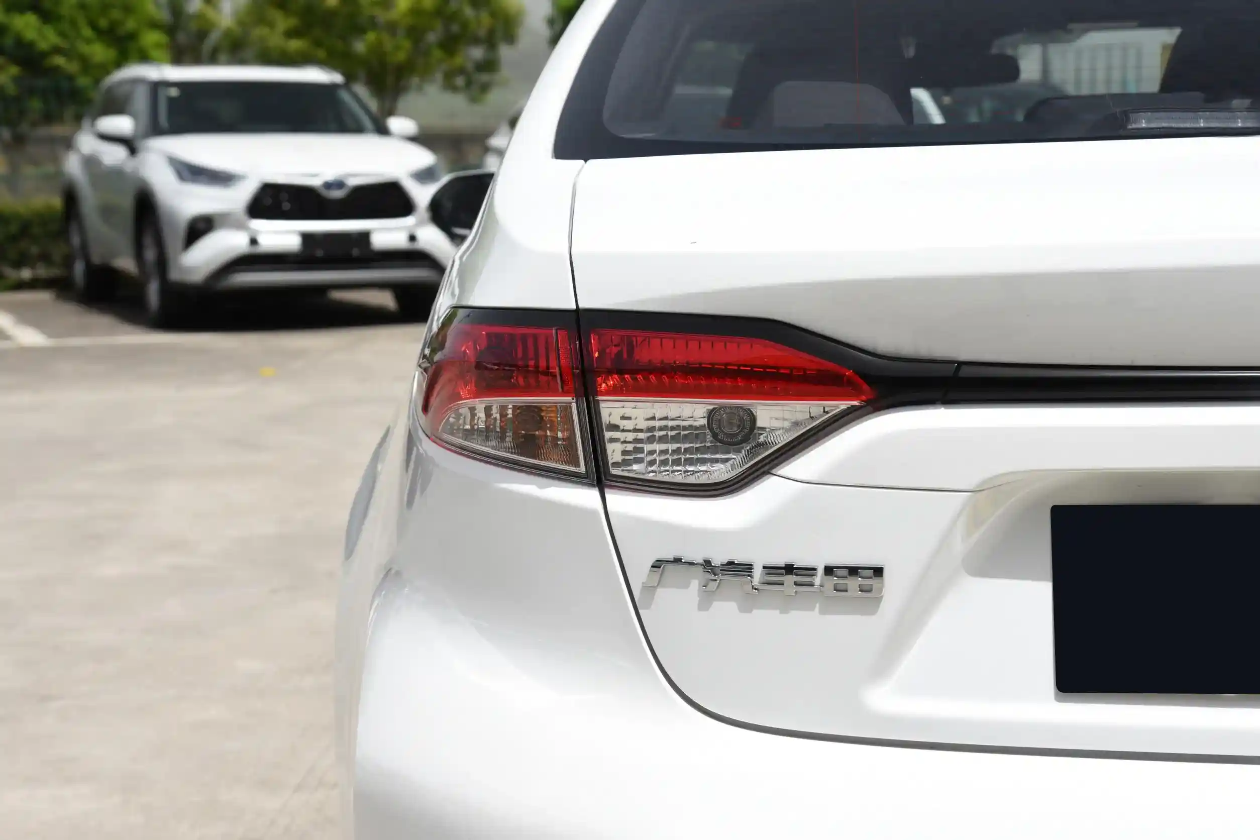 Toyota Levin picture (2)
