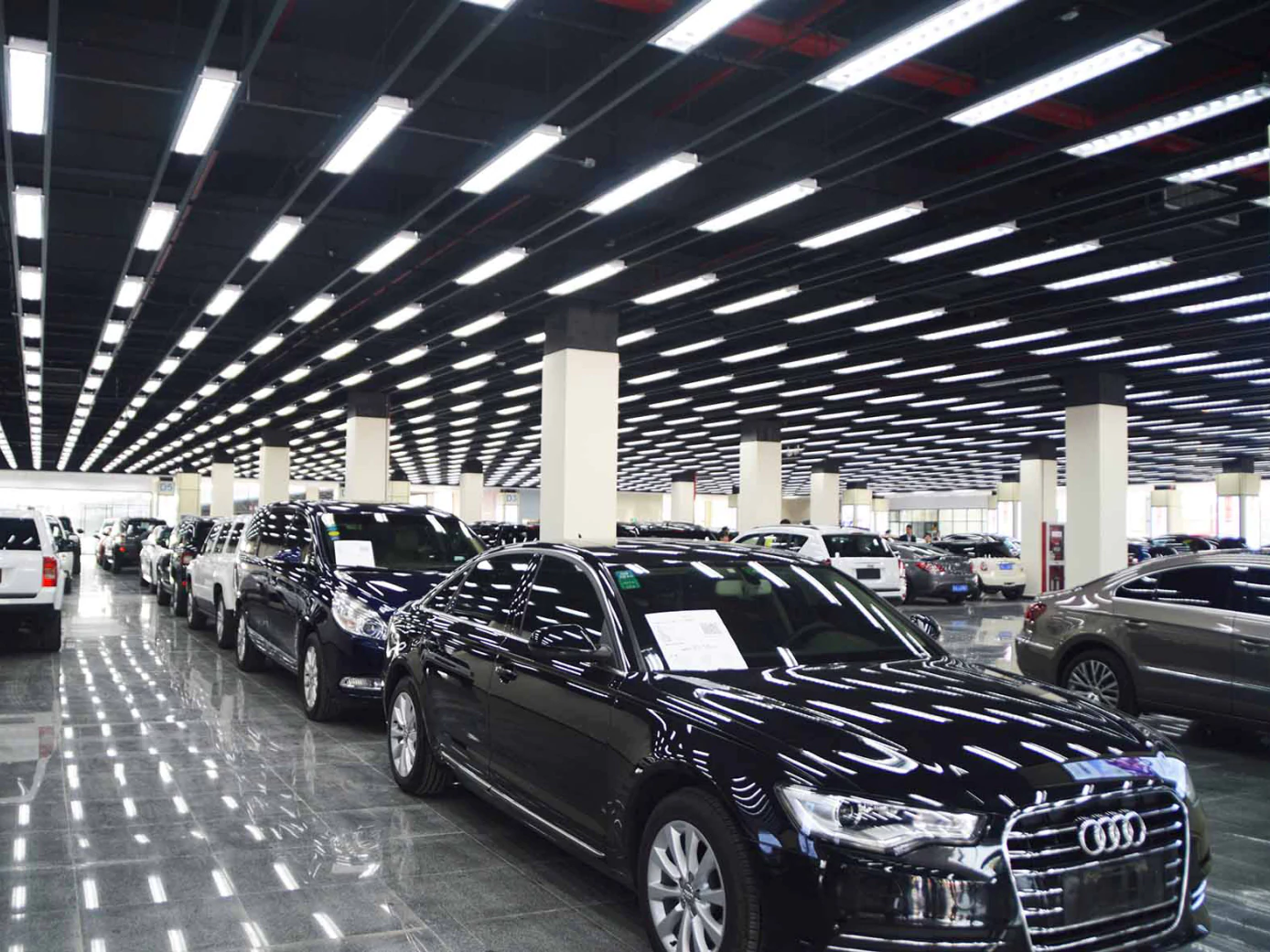 Cars in the showroom
