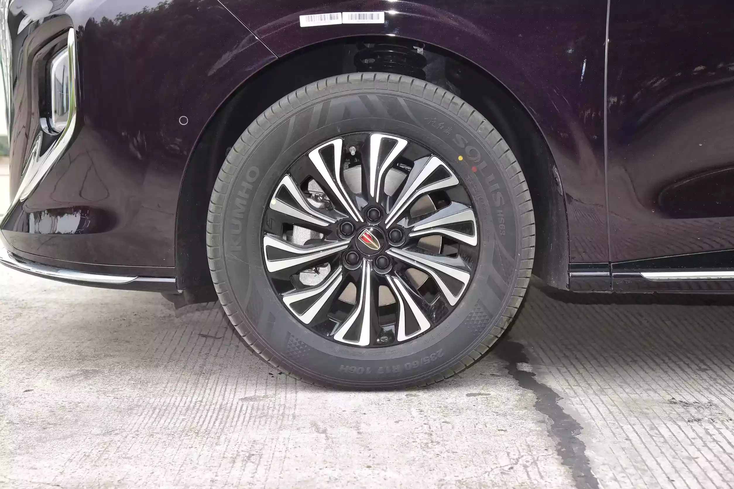 Hongqi HQ9 PHEV 2024 picture (11)