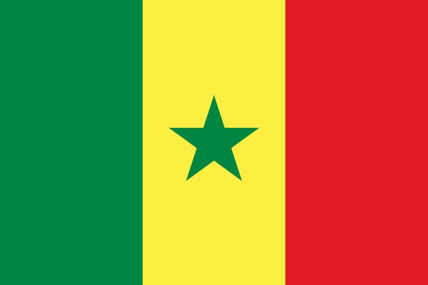 Cameroon flag