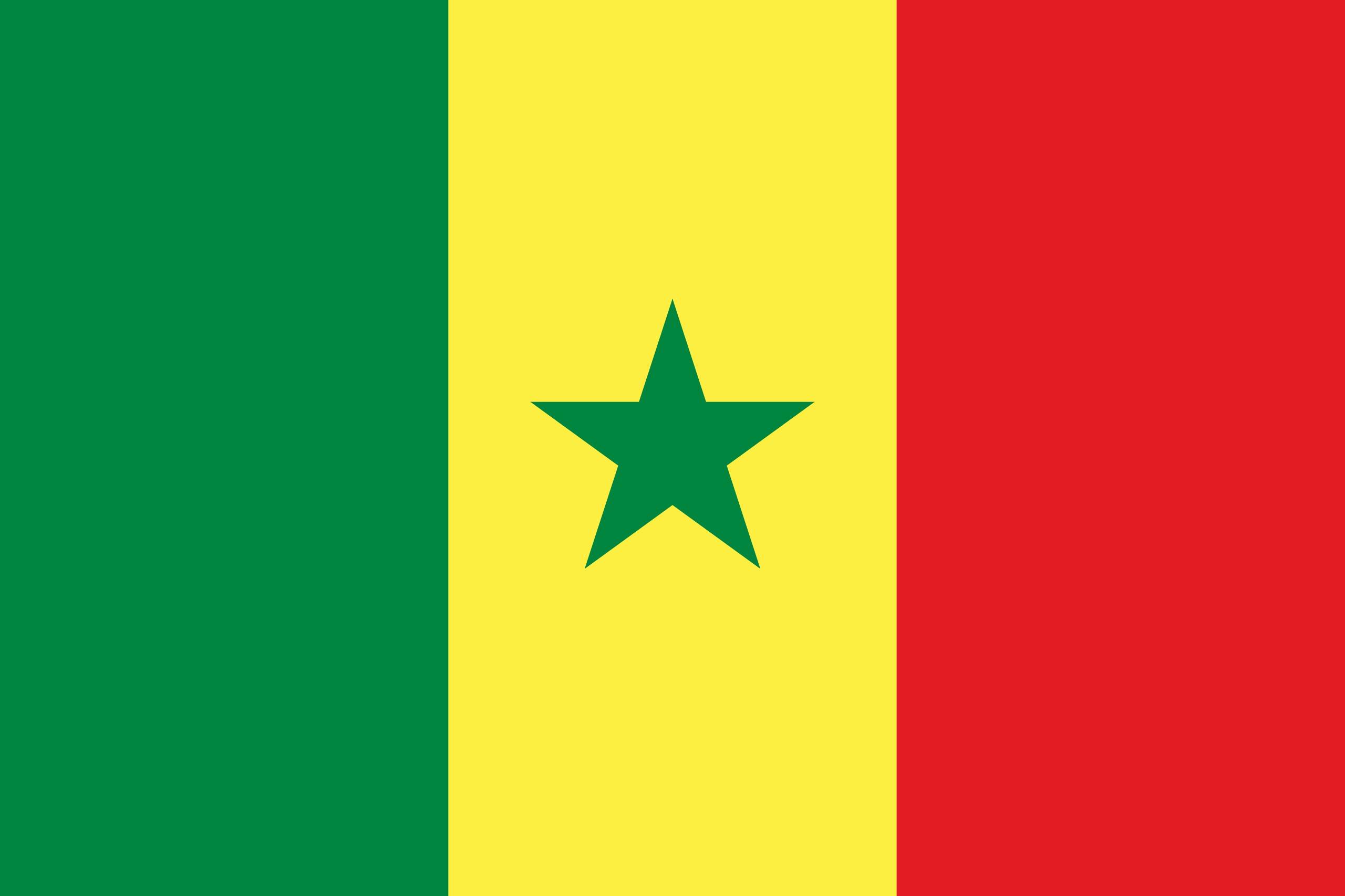 Cameroon flag
